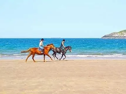 Nessebar Holiday E1-1 阳光海滩